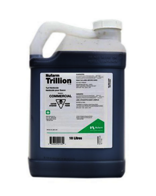 trillion Picture Box
