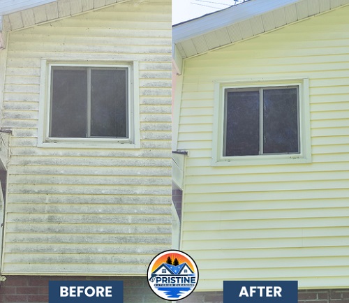 c3 Pristine Exterior Cleaning