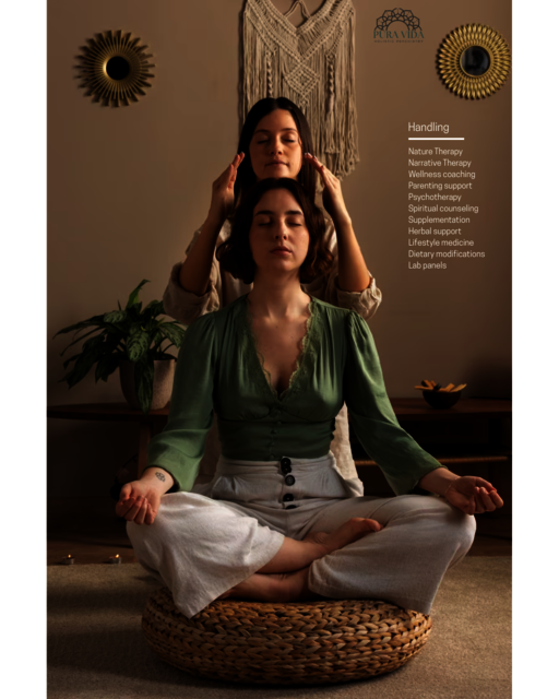 Holistic Psychiatry Puravidapsychiatry