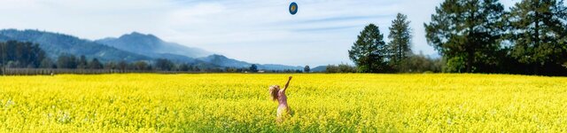 Custom Scents from a Top Fragrance House fragrance company