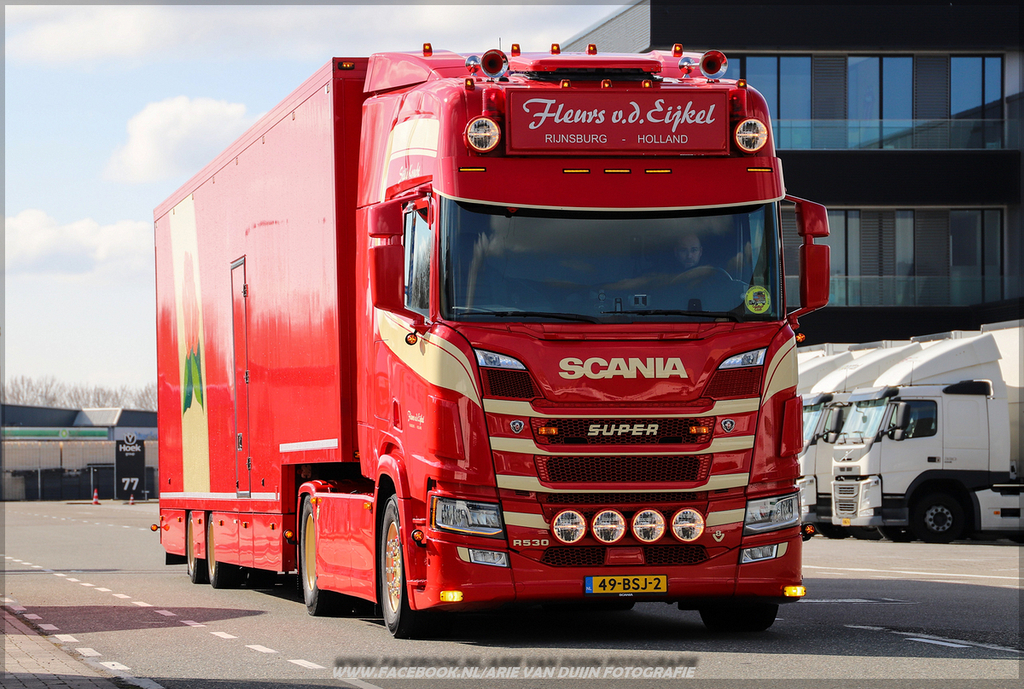 IverRR (11)-BorderMaker - 