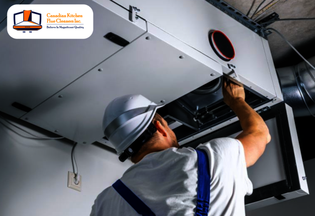 Affordable Kitchen Filter Cleaning in Brampton by  Picture Box