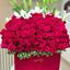arreglos florales de condol... - Picture Box