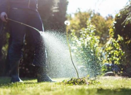 5 Brendon's Mowing Melbourne