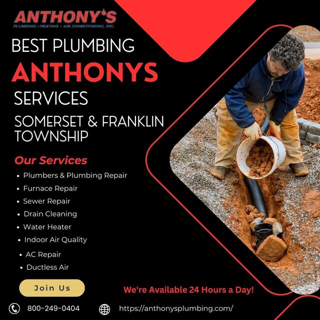 Anthonys Plumbing Picture Box