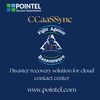 CCaaSSync - Picture Box