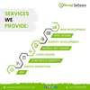 website designing company i... - Picture Box