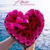 Entrega de Flores el Mismo ... - Picture Box