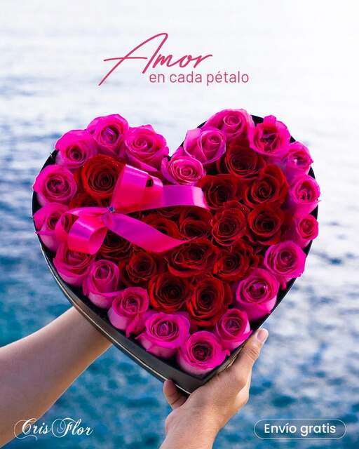 Entrega de Flores el Mismo Día Santo Domingo Picture Box