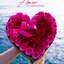 Entrega de Flores el Mismo ... - Picture Box