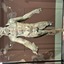20240820 140923 - Xanten