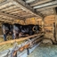 PSX 20240908 195120 - Archeon