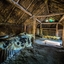 PSX 20240908 194342 - Archeon