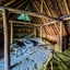PSX 20240908 194253 - Archeon