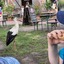 20240815 162258 - Dierentuin Bockhorn