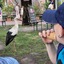 20240815 162256 - Dierentuin Bockhorn