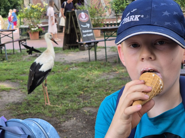 20240815 162251 Dierentuin Bockhorn