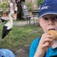 20240815 162251 - Dierentuin Bockhorn