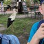 20240815 162244 - Dierentuin Bockhorn