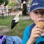 20240815 162240 - Dierentuin Bockhorn