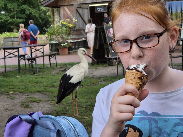 20240815 162217 Dierentuin Bockhorn