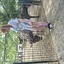 20240815 145755 - Dierentuin Bockhorn