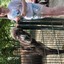 20240815 145654 - Dierentuin Bockhorn