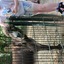 20240815 145651 - Dierentuin Bockhorn