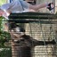 20240815 145648 - Dierentuin Bockhorn