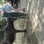 20240815 145639 - Dierentuin Bockhorn