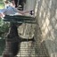 20240815 145638 - Dierentuin Bockhorn