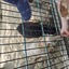 20240815 145106 - Dierentuin Bockhorn