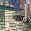 20240815 145102 - Dierentuin Bockhorn