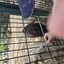 20240815 145057 - Dierentuin Bockhorn