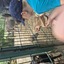 20240815 145050 - Dierentuin Bockhorn
