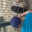 20240815 145042 - Dierentuin Bockhorn