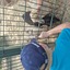 20240815 145041 - Dierentuin Bockhorn