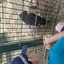 20240815 145040 - Dierentuin Bockhorn