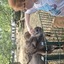 20240815 145010 - Dierentuin Bockhorn