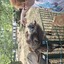 20240815 145008 - Dierentuin Bockhorn