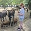 20240815 144958 - Dierentuin Bockhorn