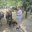 20240815 144954 - Dierentuin Bockhorn