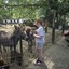 20240815 144937 - Dierentuin Bockhorn