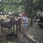 20240815 144930 - Dierentuin Bockhorn