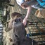 20240815 144815 - Dierentuin Bockhorn