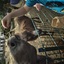 20240815 144813 - Dierentuin Bockhorn