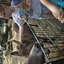 20240815 144808 - Dierentuin Bockhorn