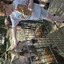 20240815 144750 - Dierentuin Bockhorn