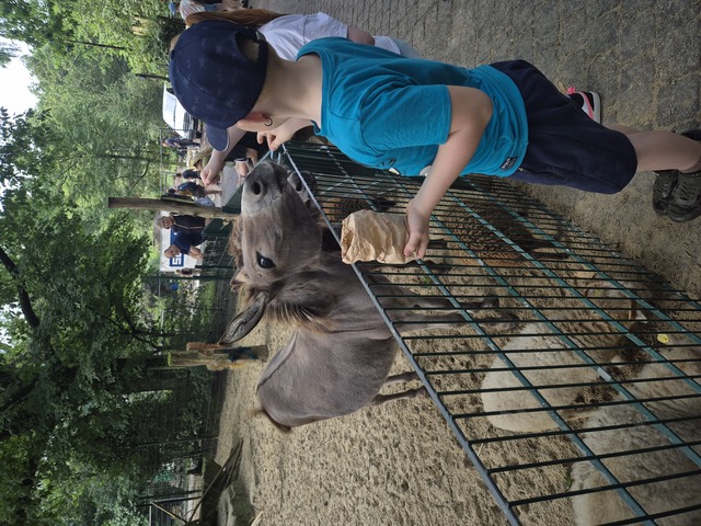 20240815 144516 Dierentuin Bockhorn