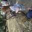 20240815 144429 - Dierentuin Bockhorn